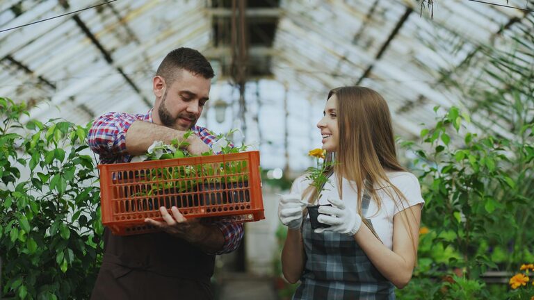 Tips for Creating a Sustainable and Enjoyable Home Garden Year-Round